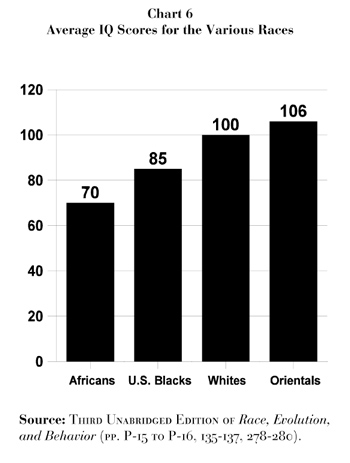 Racial IQ Levels