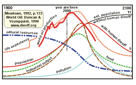 The Consequences of Idiocy