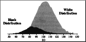 Black-White IQ Diffs