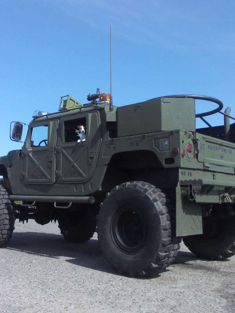 NEMLEC SWAT Documents Give Ugly Snapshot of Police Militarization